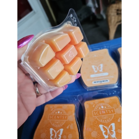 7 Scentsy Bars PUMPKIN ROLL Porch Pumpkin Cinnamon Swirl Mixed Lot - Picture 3 of 5